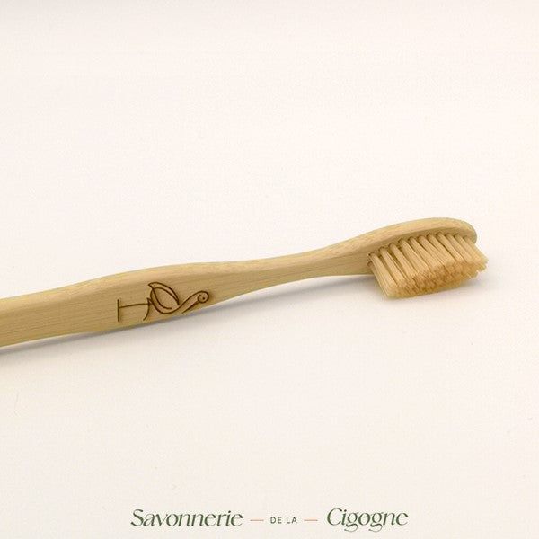 Brosse à dents Bambou-2