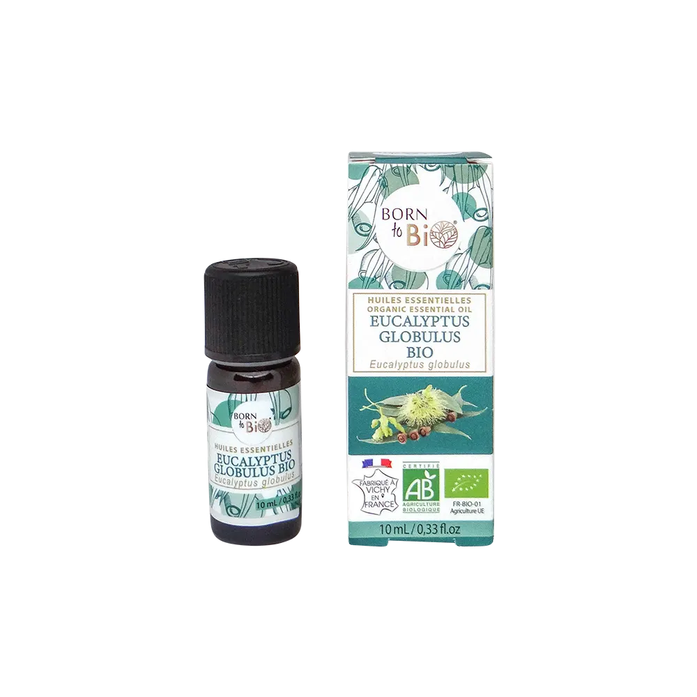 Organic Eucalyptus globulus essential oil-0