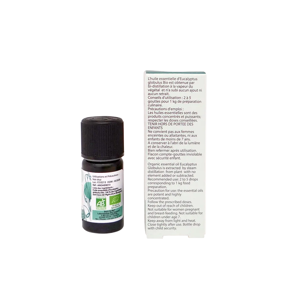Organic Eucalyptus globulus essential oil-2