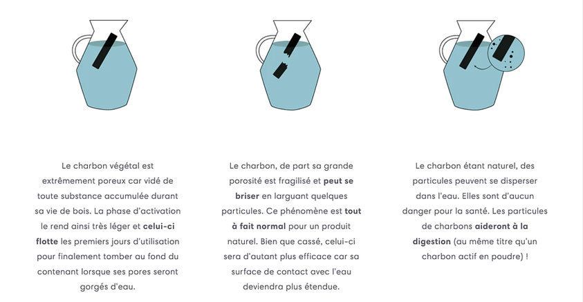 Lot de 3 charbons 100% français filtre à eau-3