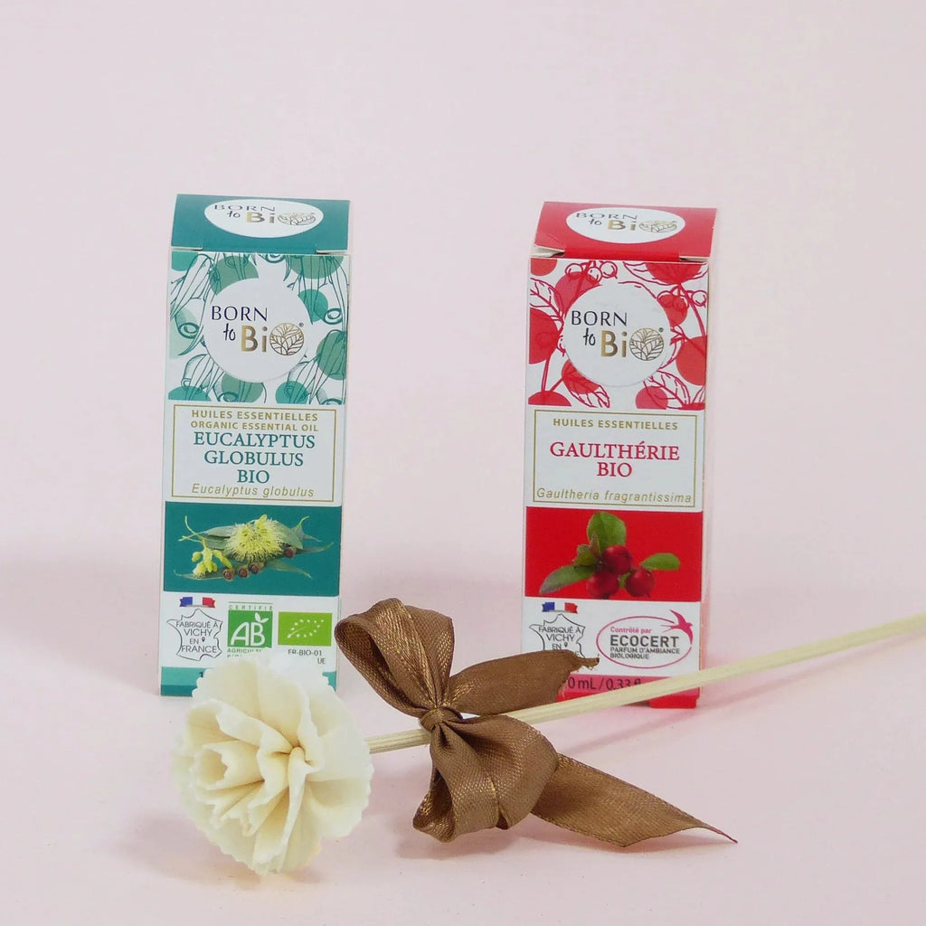 Organic Eucalyptus globulus essential oil-1