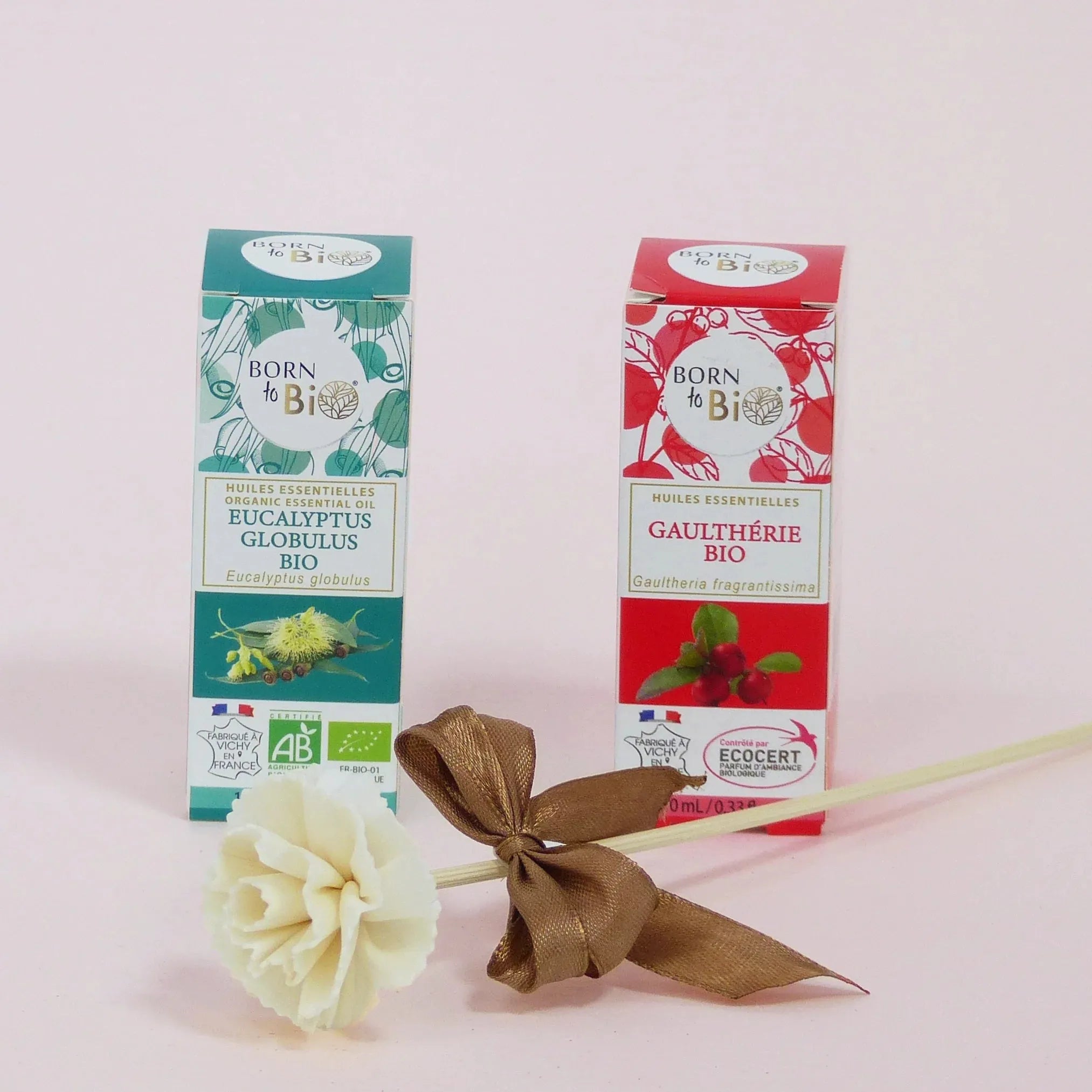 Organic Eucalyptus globulus essential oil-1